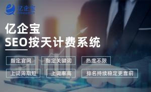 SEO搜索引擎优化